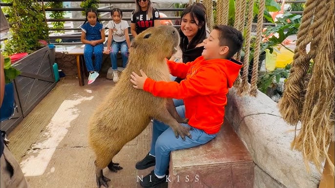 Puebla tour image — attractions